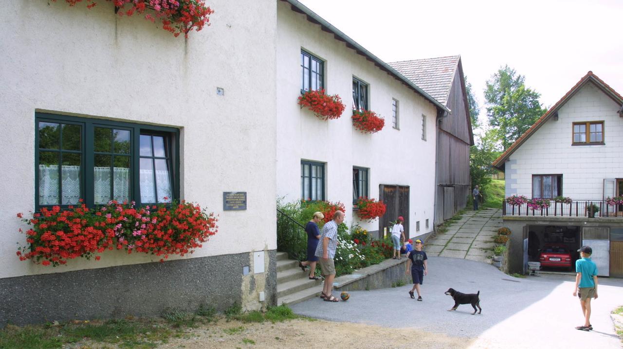 Ferienhof Stanzl Rappottenstein Dış mekan fotoğraf